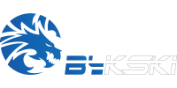 Logo Bykski