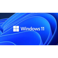 Windows 11 Professional ESD
