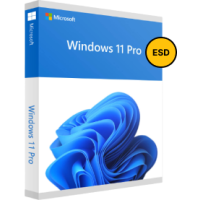 Windows 11 Professional ESD