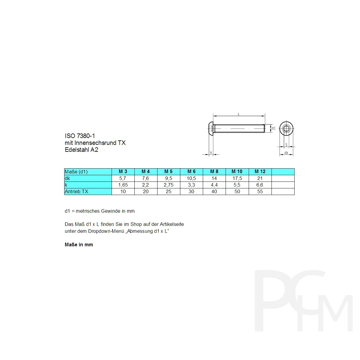 Hochwertige M3 Schrauben Edelstahl mit Torx - PCHM, 0,99 €